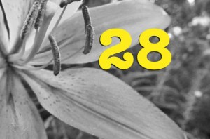 28