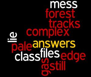 Visit The Sunday Whirl