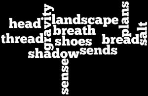 Visit The Sunday Whirl