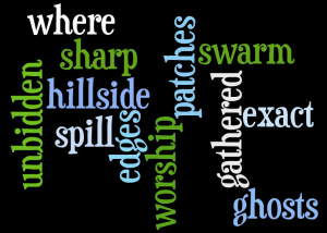 wordle128