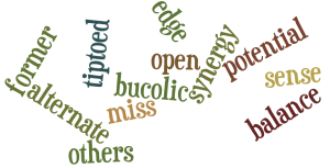 Visit The Sunday Whirl